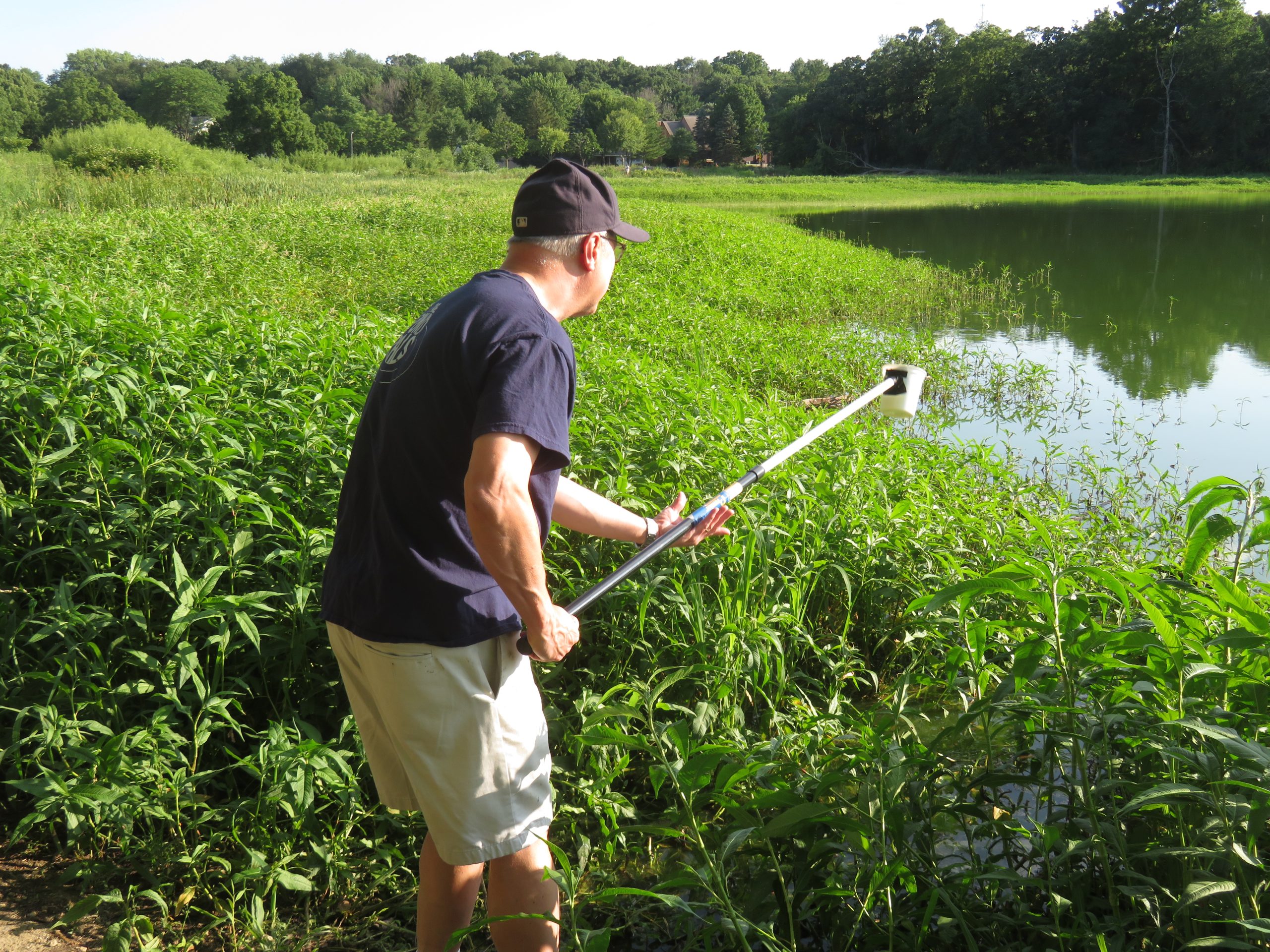A man holds a water collection tool in front of plants growing on the shore of a pond in the summertime.