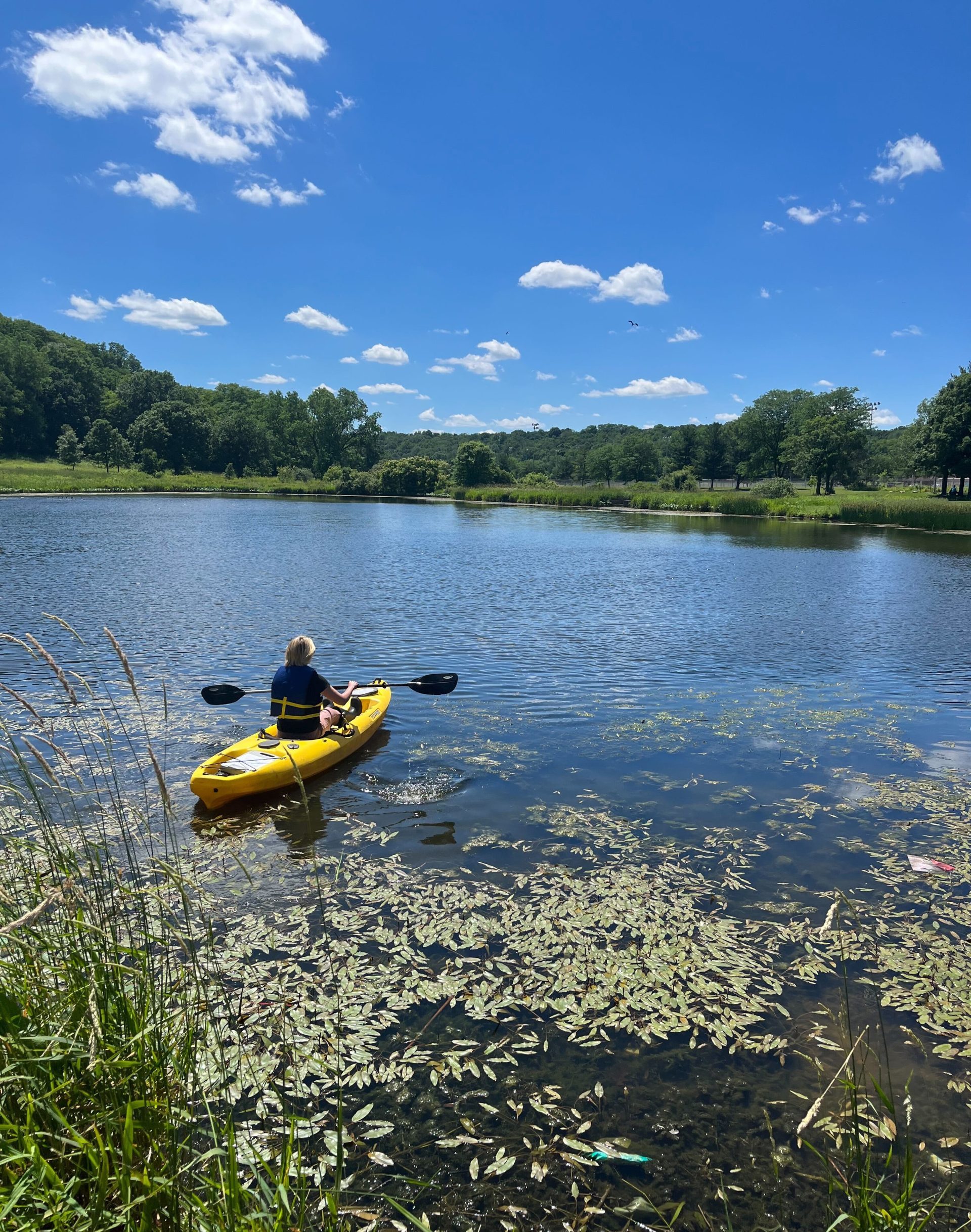 A person wearing a life jacket kayaks on a pond on a sunny day.